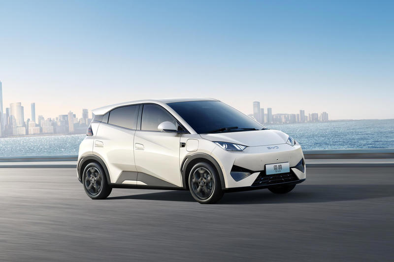 World’s largest EV maker BYD slows production – report