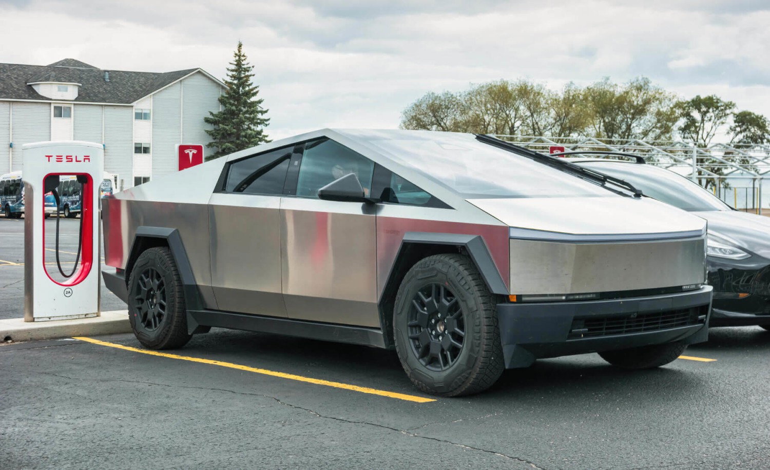 Si tienes mascota, este coche es el coche de tus sueños: se ha viralizado por todo el mundo y todos quieren tenerlo