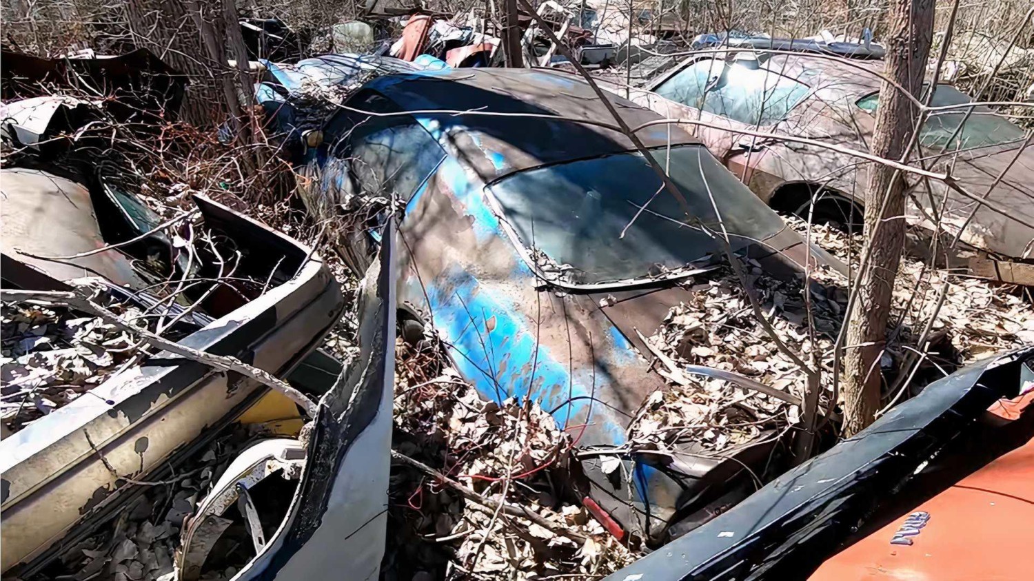 Would You Save This Ultra-Rare 1970 Camaro Z/28 RS Split-Bumper From The Junkyard?