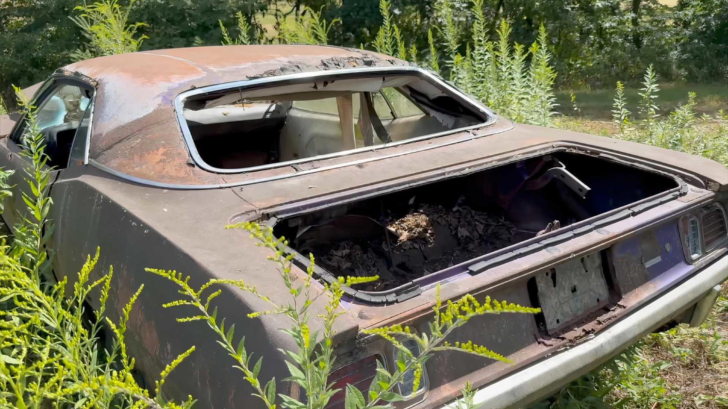 Barn Find Mopar Collection In Pennsylvania