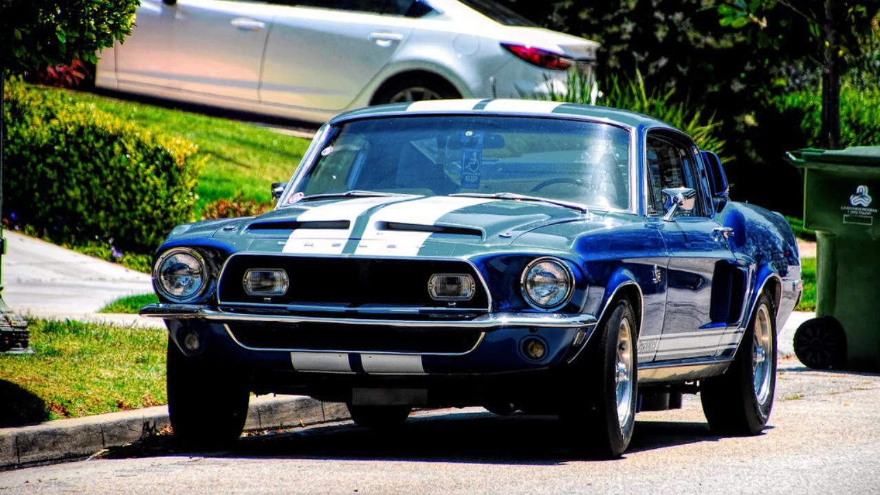 This 1968 Shelby GT500 was never meant to sit still