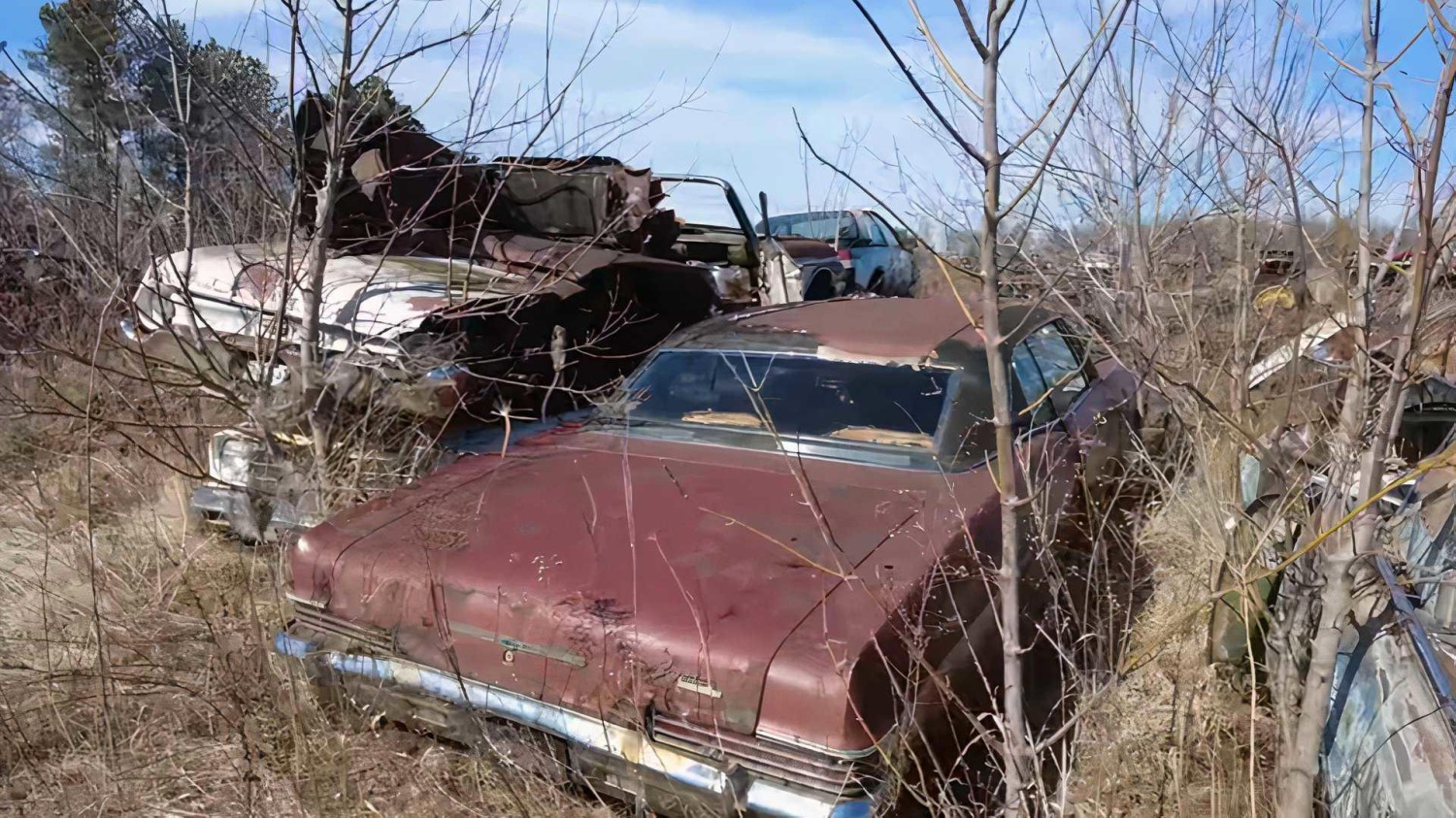 Classic Car Graveyard Reveals Twin Mach 1 Mustangs That Deserved Better