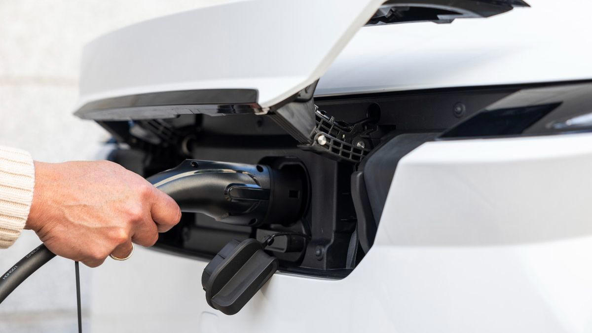 Wenea, así funciona estos populares cargadores para coche eléctrico