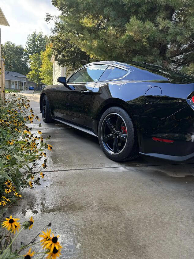 2019 Ford Mustang Bullitt