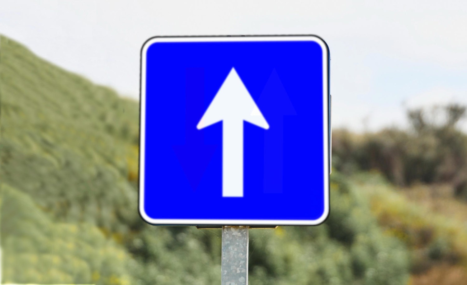 ¿Círculo o cuadrado? El detalle visual que te librará de una multa de la DGT