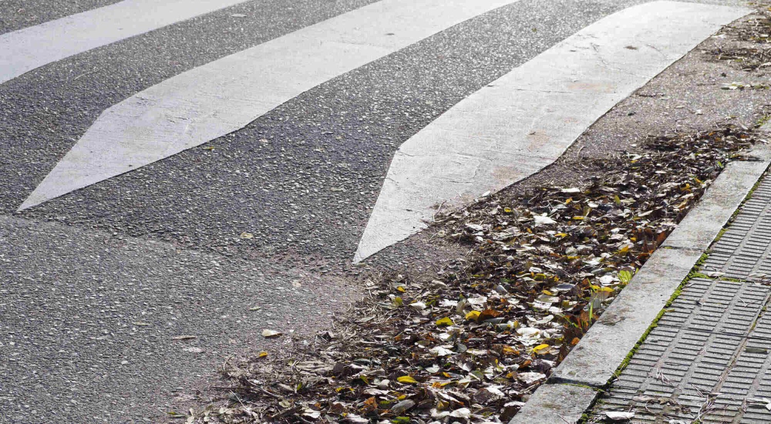 Frenar antes de un resalto no es opcional: esta es la poderosa razón