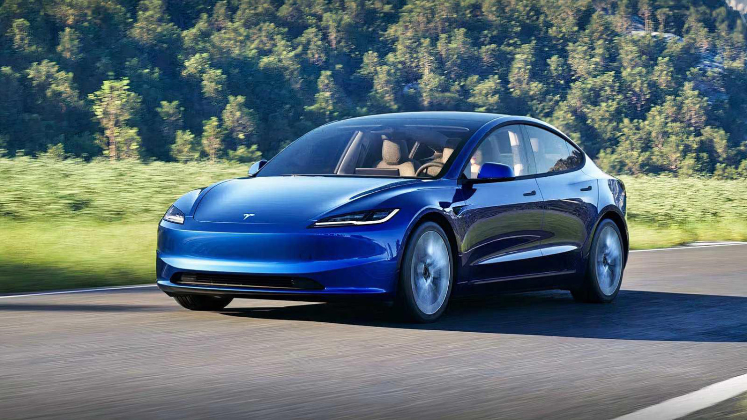 Tesla FSD driver monitoring fooled by cheap doll head