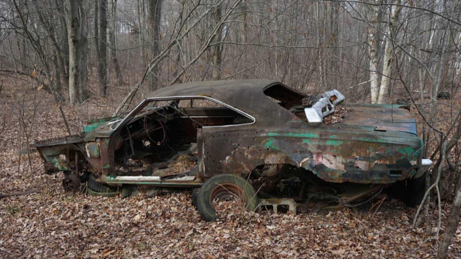 This forest of forgotten Mopar muscle will make classic car fans cry