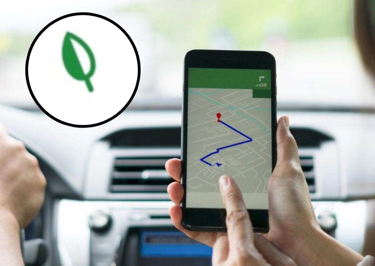 ¿Una hoja de marihuana?: Esto significa el icono verde que aparece en Google Maps y ha abierto el debate en X