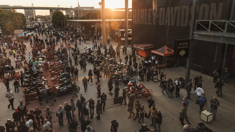 Why we call motorcycles hogs, and the Harley-Davidson story behind it