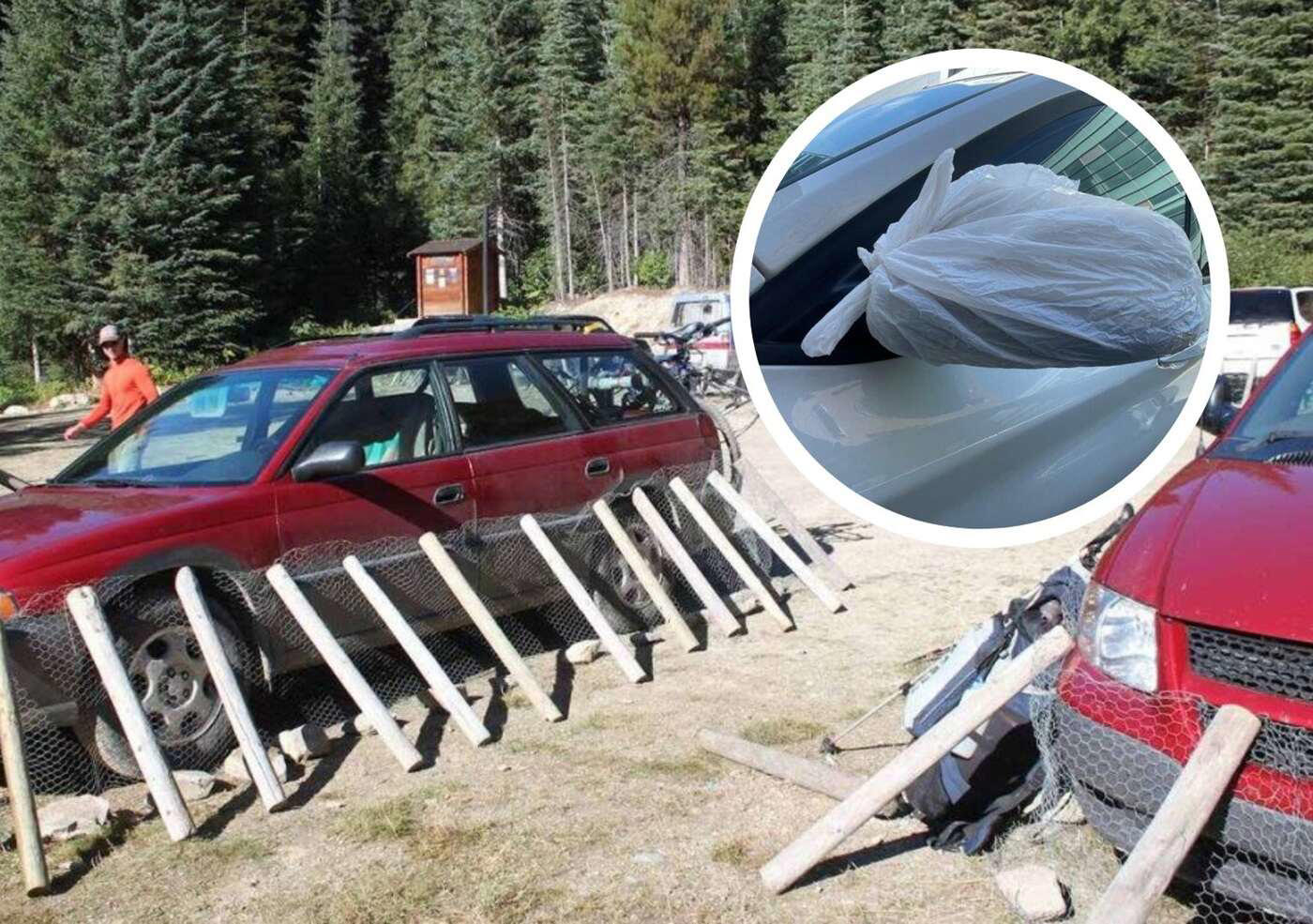 ¿Por qué los conductores protegen los coches con palos y mallas y cubren los espejos con bolsas de plástico?
