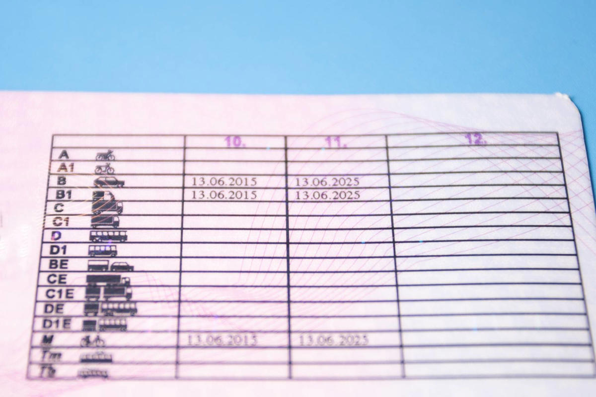 Renovar el carnet de conducir en 2026: cómo es el trámite en la DGT y cuánto cuesta el nuevo permiso
