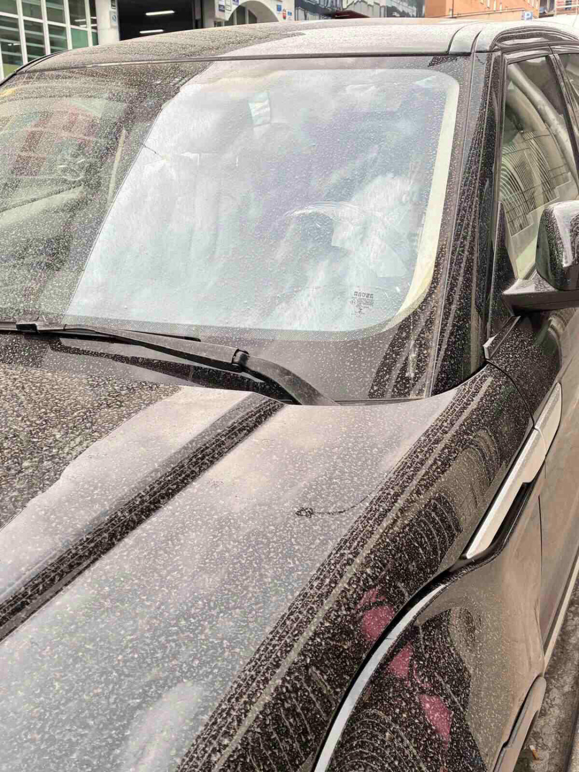 Borrasca ‘Regina’: aparqué mi coche en la calle y quedó tapado en polvo, pero tengo un truco para lavarlo sin dañar la carrocería