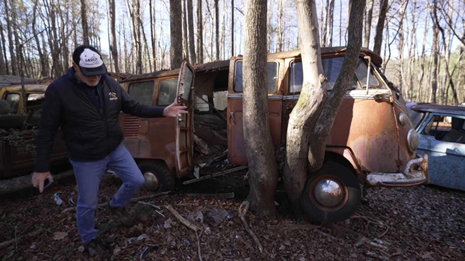 An entire forest filled with rotting classic cars has people asking big questions