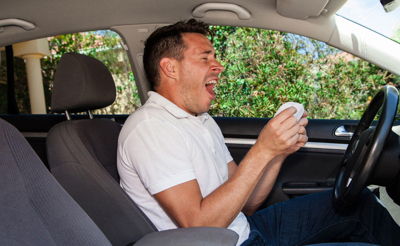 Conducir con alergia en primavera: peligros y claves antes de viajar en Semana Santa