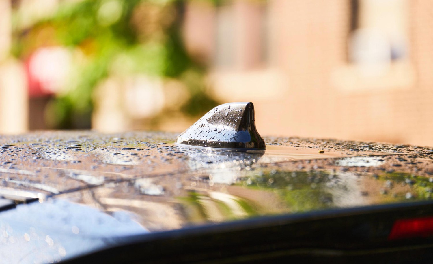 El error más común del verano puede arruinar la pintura del coche en solo unos días