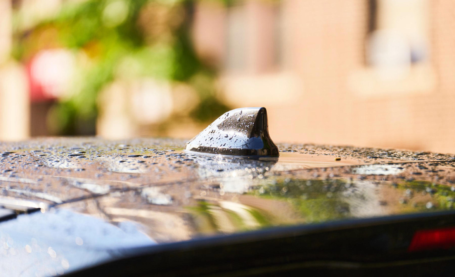 El error más común del verano puede arruinar la pintura del coche en solo unos días