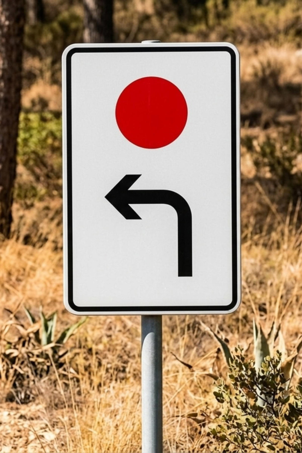 El enigma del círculo rojo en carretera: la señal que casi nadie conoce y que resuelve el peor problema de la circulación