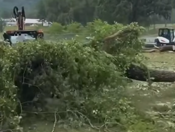 NASCAR track forced to deal with power loss, downed trees before race