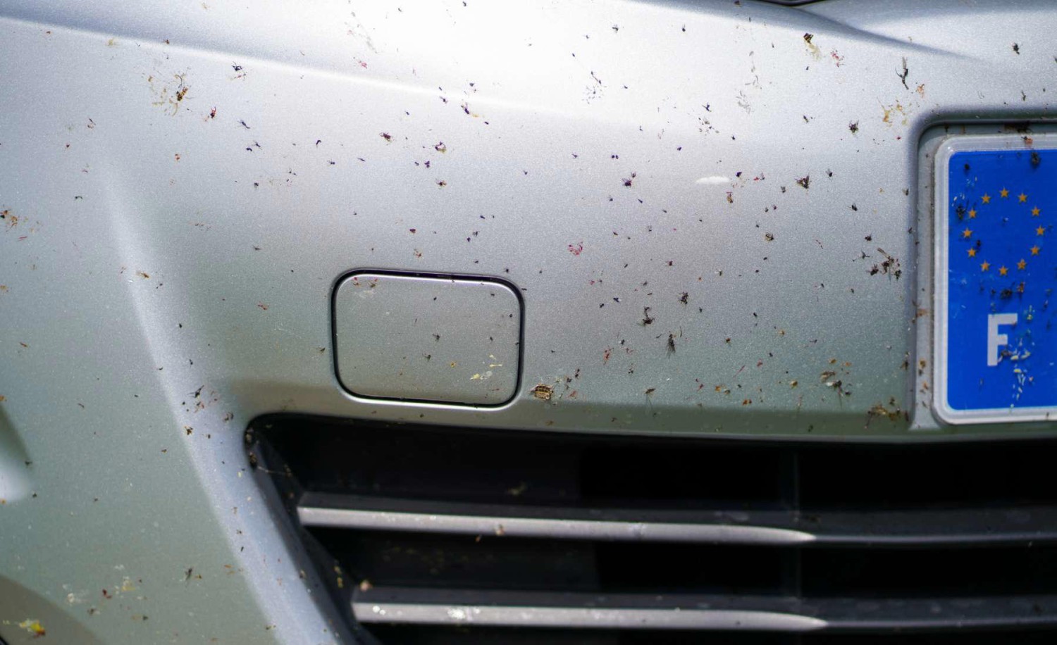 El error más repetido al lavar el coche después de viajar que puede arruinar la carrocería