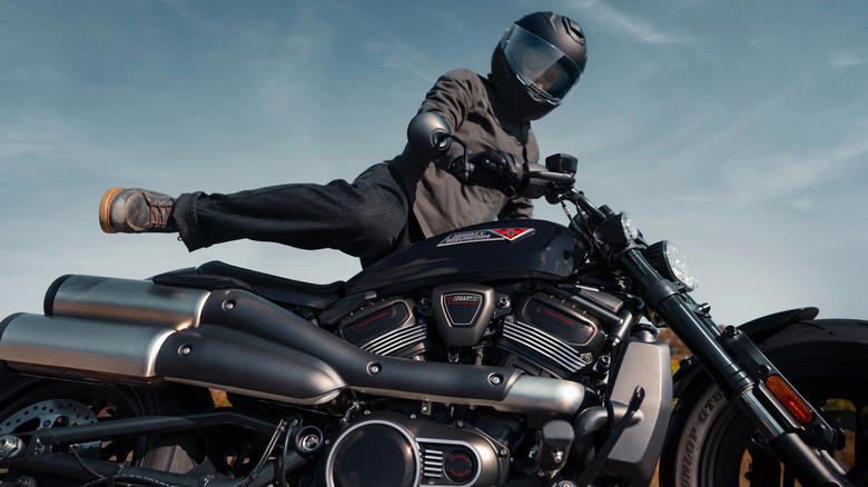 Which Harley-Davidson motorcycles work well for two riders?