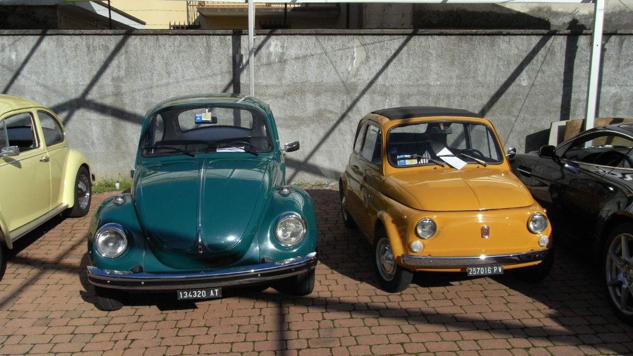 Volkswagen, Volkswagen Beetle, Fiat, 1969 Volkswagen Beetle or 1969 Fiat 500, one stayed simple the other tested patience