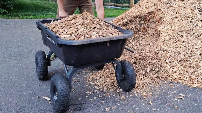 This is the best wheelbarrow alternative for homeowners (according to reviews)