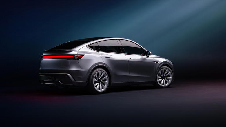 This Tesla Model Y feature got one unlucky driver pulled over