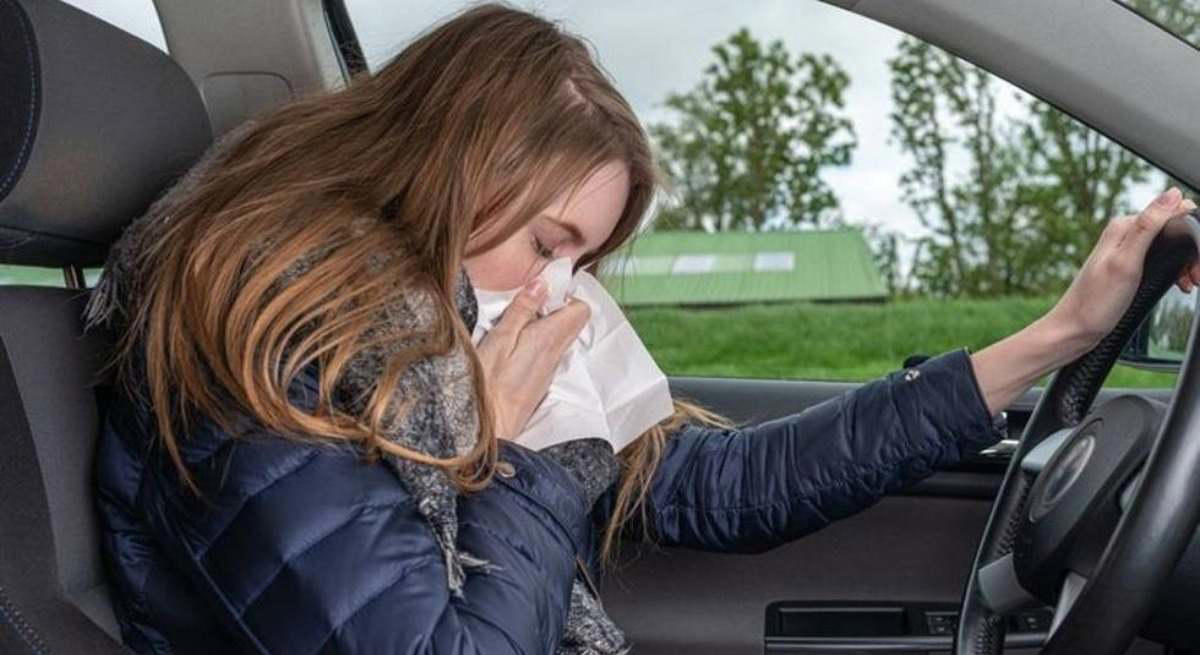 ¿Eres alérgico? Tu coche puede ser el mejor aliado contra las alergias, pero debes sustituir este elemento casi olvidado