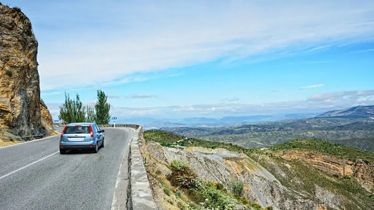Por qué han desaparecido los árboles de las carreteras españolas: el motivo que explica este cambio