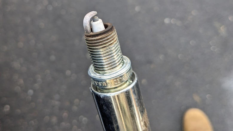 What size socket do you need for a spark plug?