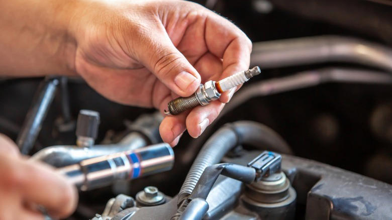 What size socket do you need for a spark plug?