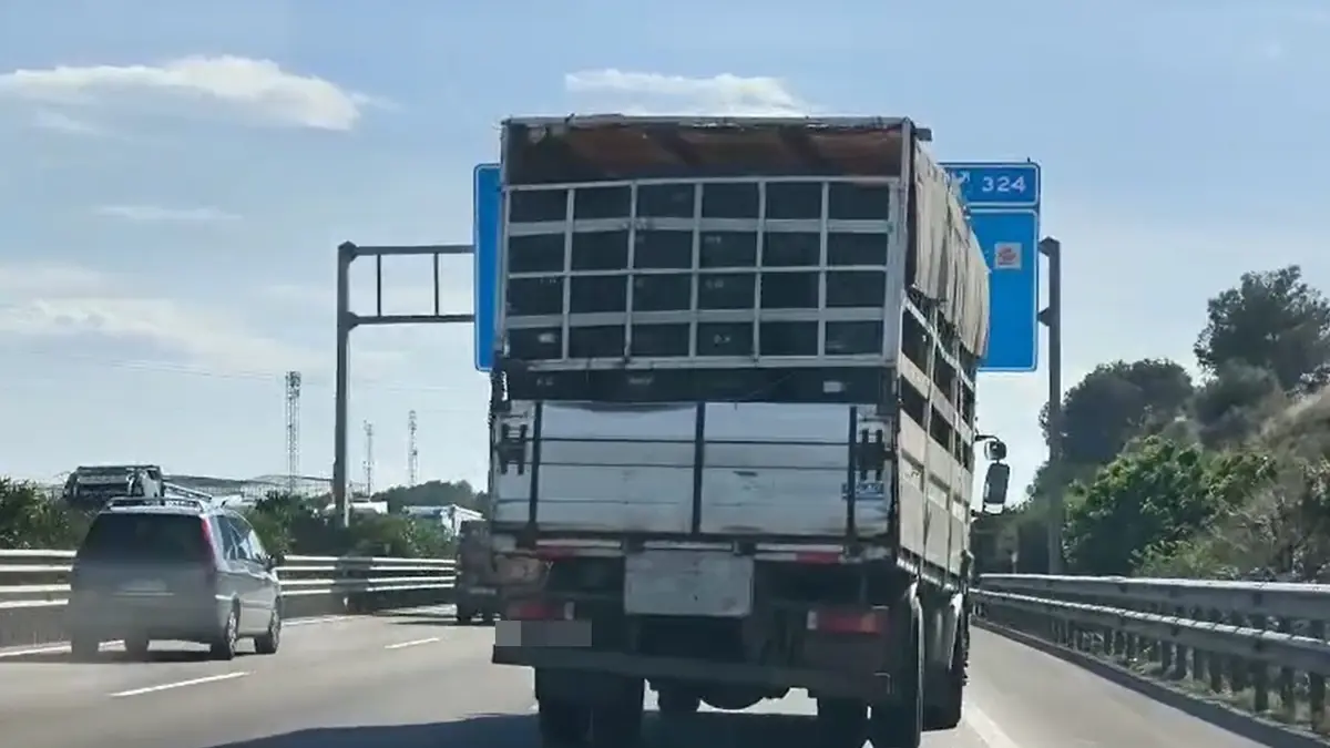 Un camión cargado de toneladas de naranjas circula por la A-7 en Bétera con el eje roto