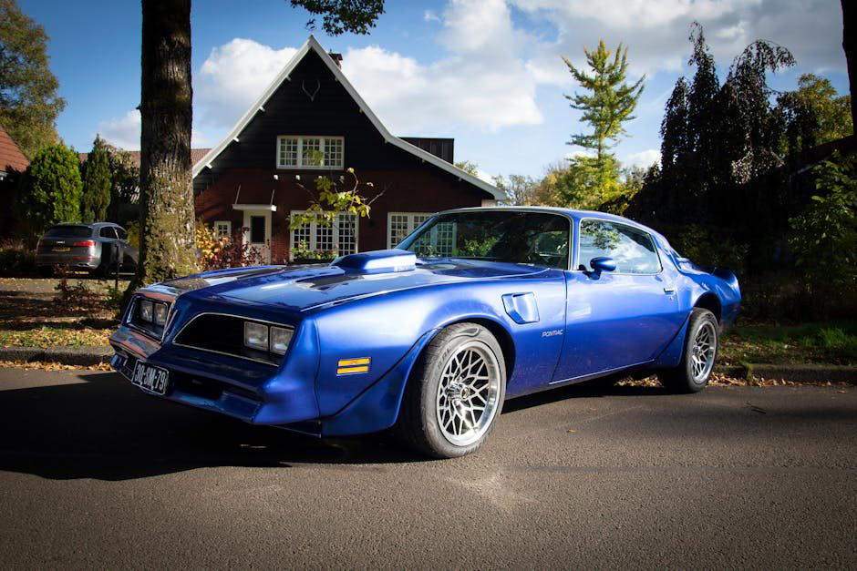 The rise and fall and rise again of the American muscle car