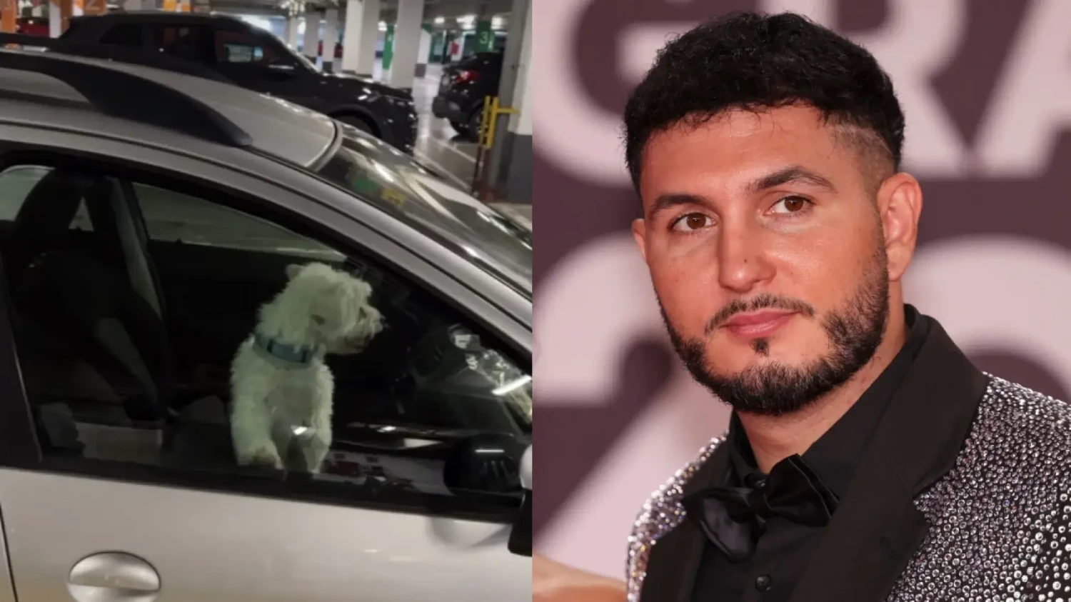 El polémico gesto de Omar Montes para salvar a un perro: 