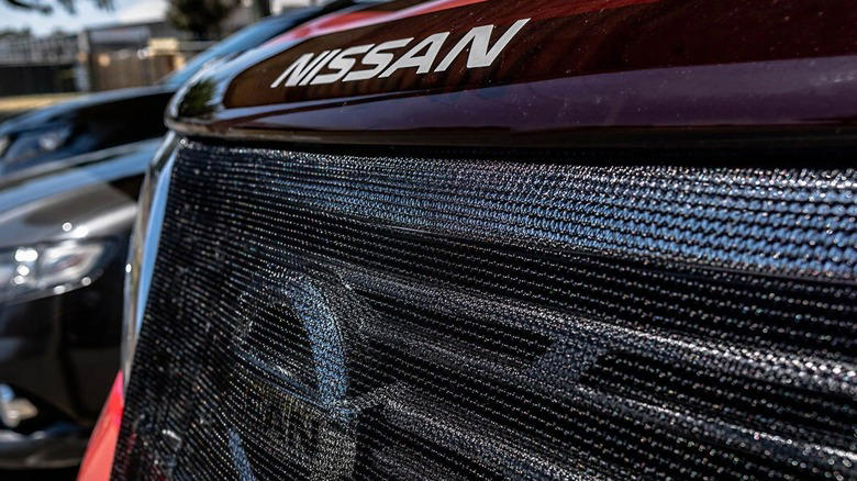 Want to keep bugs from sticking to the front of your car? This may be a solution