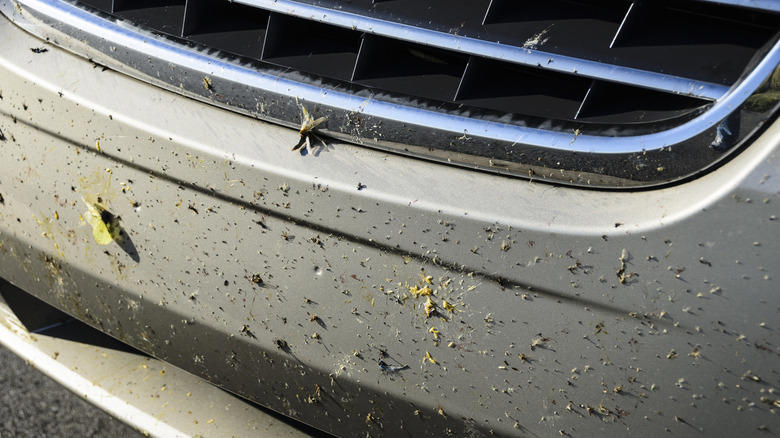 Want to keep bugs from sticking to the front of your car? This may be a solution