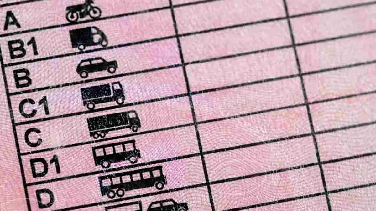 Citroën, Aviso conductores: el permiso de conducir tiene nuevas restricciones a la circulación y así están afectando