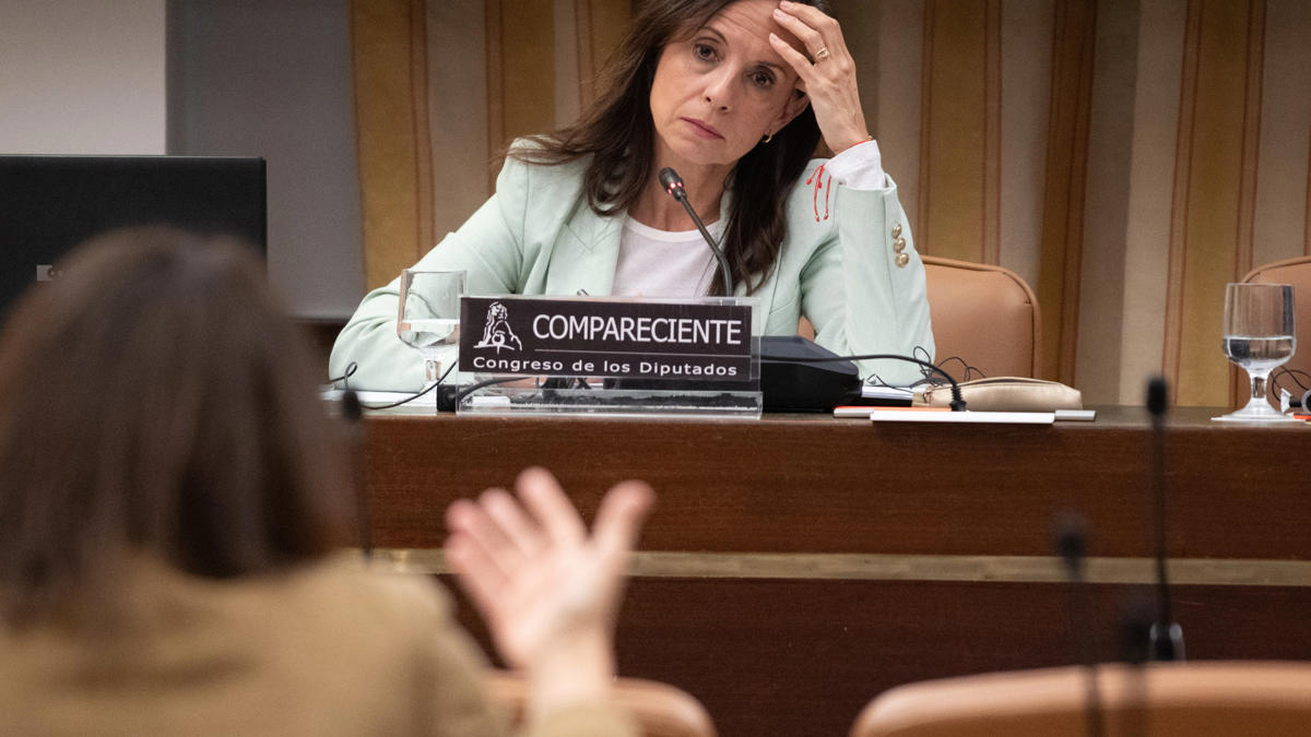 Red Eléctrica pide invertir 607 millones adicionales para instalar sistemas antiapagones que amortigüen las oscilaciones del auge fotovoltaico