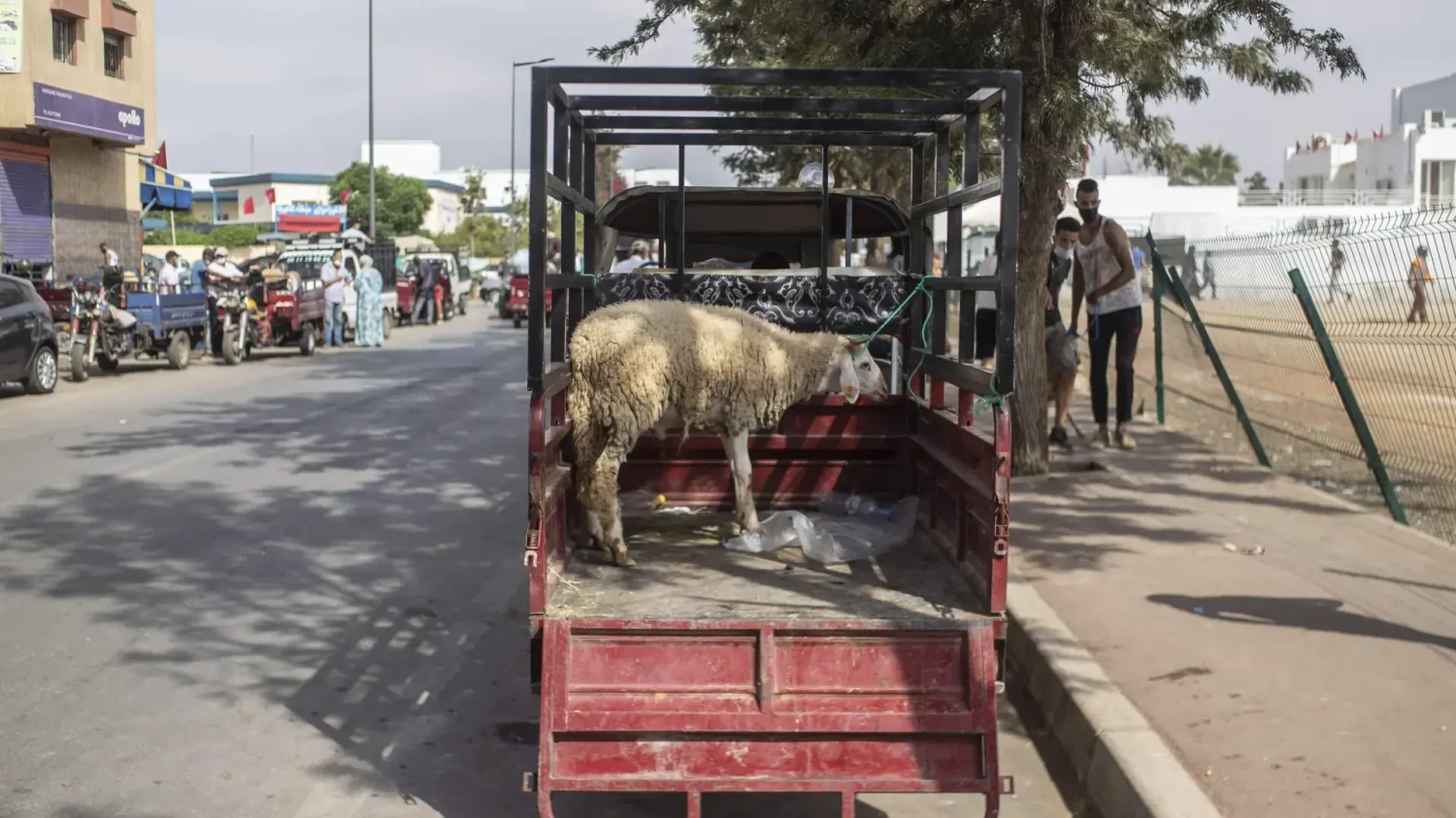 Regreso al pasado: conducir en Marruecos