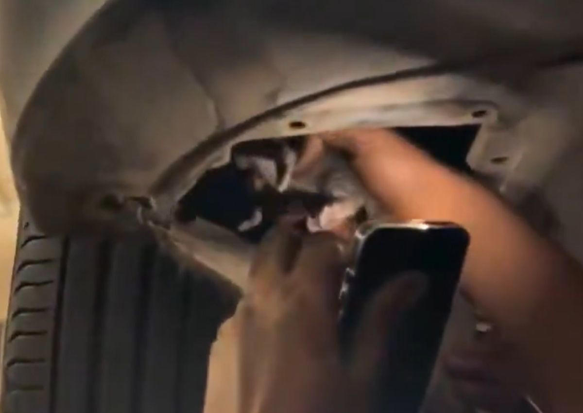 Llevó su coche al taller porque oía ruidos extraños al arrancar: los mecánicos no podían creer lo que había dentro