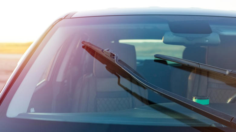5 Tesla voice commands that add convenience to your driving experience