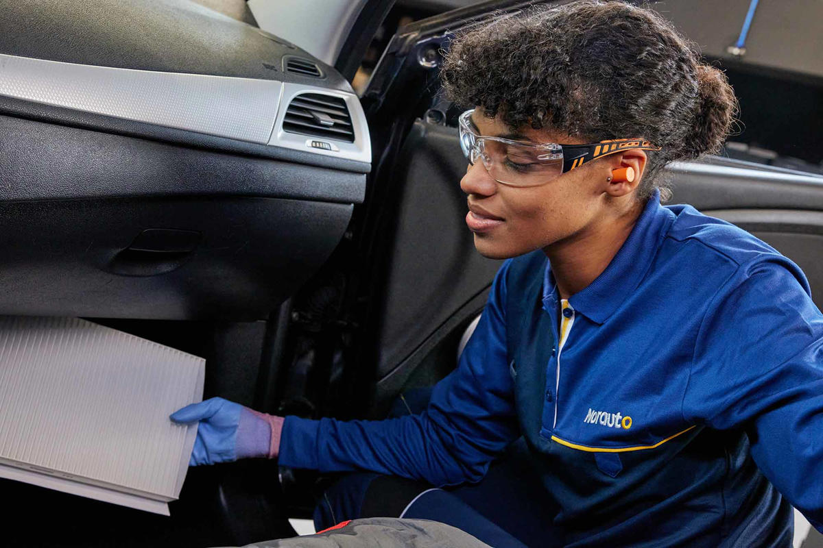 Aunque muchos lo hacen, expertos en mantenimiento recomiendan no poner esto dentro del coche (especialmente en primavera)