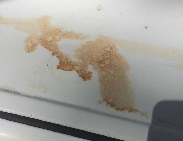 Ini Sebabnya Jangan Parkir Motor Bekas Kesayangan di Bawah Pohon