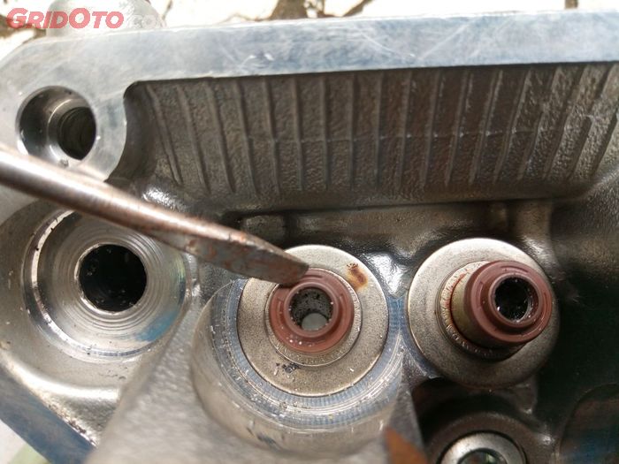 Cara Simpel Cek Kondisi Sil Klep Motor Perlu Diganti Atau Tidak