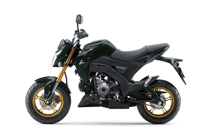 Tak Cuma Honda, Kawasaki juga Punya Mini Moto Dipasarkan di Indonesia Z125 Pro, Harga Separuhnya?