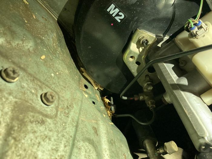 Cara Mencegah Tikus Menggerogoti Kabel di Mobil, Lakukan Dua Hal Ini