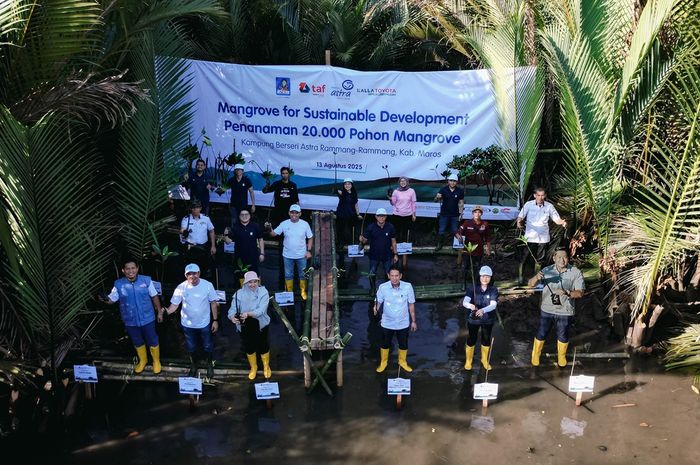 Astra Group dan Kalla Toyota Gandengan Tangan, Tanam 20.000 Bibit Mangrove di KBA Rammang-Rammang, Maros