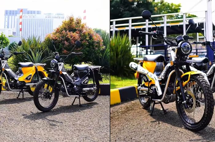 Mirip Honda CT125 Harga Rp 20 Jutaan, Intip Spek Motor Baru Wmoto Porter 125