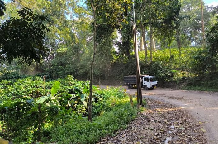 Fakta Sejarah Jalur Legendaris Gumitir Jember, Salah Satu Tempat Buang Mayat PKI